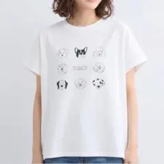 新品 DOGGIE Tシャツ 犬 LUPILIEN ルピリアン/オフホワイトのサムネイル