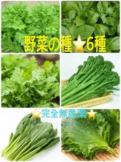 雪割一華様 リクエスト 3点 まとめ商品