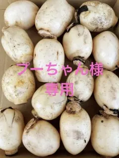 プーちゃん様専用