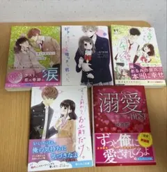 恋愛小説セット 5冊