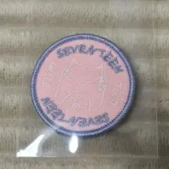 セブチ　ジュン　ワッペン　SEVENTEEN 2026年最新】ジュン ワッペン seventeenの人気アイテム - メルカリ