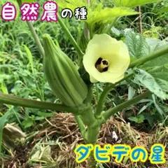 user_3a672935様 リクエスト 2点 まとめ商品