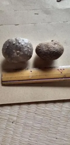 蕣様 リクエスト 2点 まとめ商品