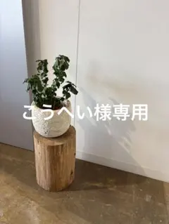 【こうへい様専用】ATHLETAセット