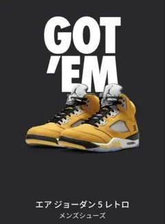 Air Jordan 5 Retro 