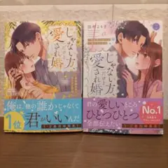 じゃない方、だけど愛され婚～契約婚の相手は一途すぎる社長　①②