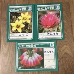 ジャポニカ学習帳 ノートこくご・さんすう　3冊セットのサムネイル