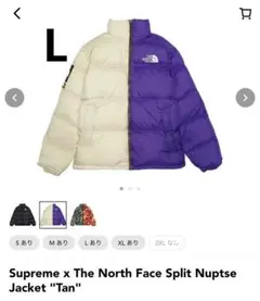 Supreme x The North Face Nuptse 
