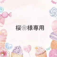 桜❀様 リクエスト 2点 まとめ商品