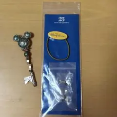 東京ディズニーリゾート　25周年限定　ドリームキー　水色