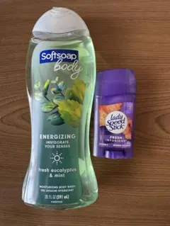 Item thumbnail for item 81846ab2-37a2-4a22-a59b-f81a0174acf5