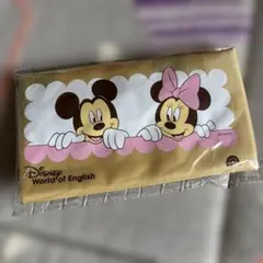 ディズニー　エコバッグ