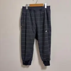 Item thumbnail for item 177292d5-0f7e-4294-b6a4-6b70ffb4d8d6