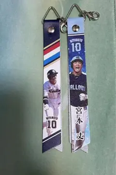 ヤクルト ボンフィン 宮本 丈選手