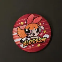 刺繍缶バッジ パワーパフガールズ 缶バッジ