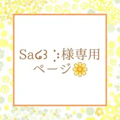 Sa໒꒱ ⡱様専用ページ