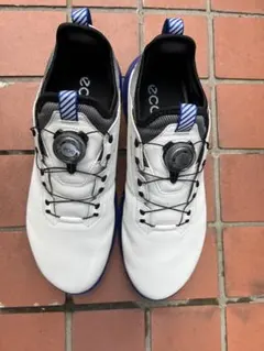 ECCO エコー 輸入正規品 BIOM C4 BOA 27cm - メルカリ