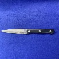 Item thumbnail for item f5f2f555-7747-420e-befa-7e70fff35f99