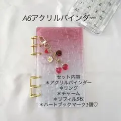 アクリルバインダー♡水流模様 A6韓国バインダー貯金 savingチェリーRed