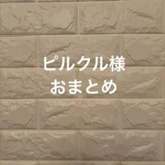 ピルクル様 リクエスト 2点 まとめ商品