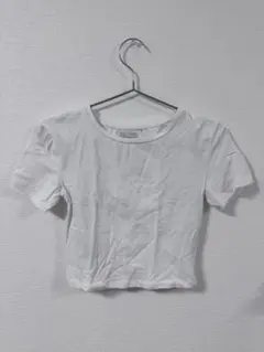 ZARA ホワイト クロップドTシャツ 半袖