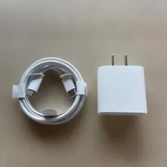 Apple 純正 iPad 充電器 USB-C ケーブル ACアダプタ 新品