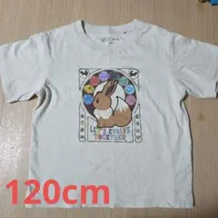 ユニクロ　UNIQLO　イーブイ Tシャツ 120cm