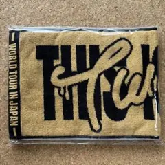 【新品未開封】TWICE ジヒョ　マフラータオル　ツアー