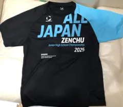 ✨【完売品】2025 全中 陸上 デサント Tシャツ✨　Mサイズ デサント 全中 ALLJAPAN Tシャツ Mサイズ 全国中学校体育大会