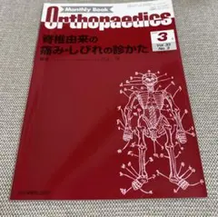 Orthopaedics Vol.33 No.3