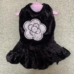 犬服 ブラック ベロア お花 ワンピース