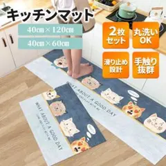 Item thumbnail for item 5590d58a-e146-4708-aa2f-b39b9a559285