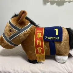 サラブレッドコレクションふわふわBIG ソールオリエンス