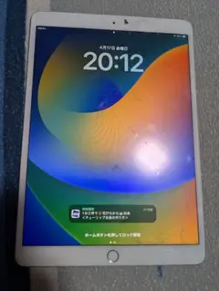 iPad Pro 10.5インチ　256GB 画面割れ有り　使用可能