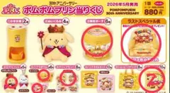 ポムポムプリン当りくじ＆わくわくサンリオカプセルトイ部シークレットカプセルケース ポムポムプリン当りくじ＆わくわくサンリオカプセルトイ部シークレット