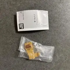 ノンタン　めじるしアクセサリー2 たぬきさん