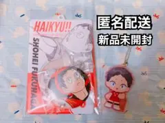 【定価以下！】ハイキュー　福永招平　音駒高校　缶バッジ＆特製ホルダーコレクション