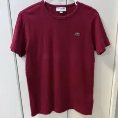 LACOSTE 日本製　Tシャツ　赤