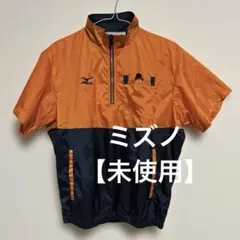 Item thumbnail for item a85acf02-fecc-418d-91a4-84a5c1a53ca3