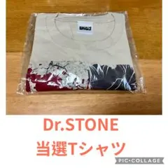 Dr.stone Space Travelium TeNQ 家族 Tシャツ - メルカリ