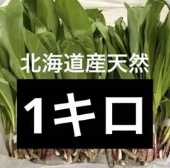 朝採れ】4/11～発送 北海道厚真産天然行者にんにく 2kg 11500円 - メルカリ