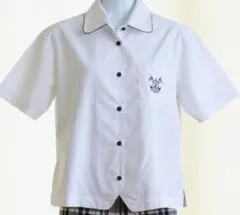 Item thumbnail for item bd7114b9-0ea6-4958-9427-04effc93ffc2