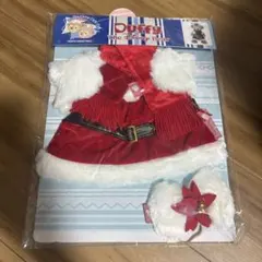 シェリーメイ　クリスマス　ぬいぐるみコスチューム　着せ替え　ディズニーシー