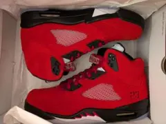○ナイキ エアジョーダン5 