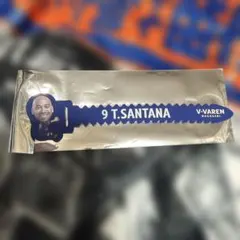 Item thumbnail for item 9448d330-b520-49b4-a4c4-e27fbf6f74b9