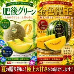 肥後グリーン 金色羅王 メロン スイカ ギフトセット 肥後グリーン 金色羅王 メロン スイカ ギフトセット - メルカリ