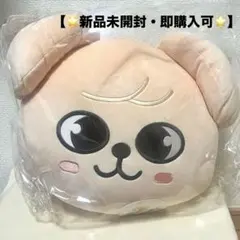 Stray Kids PuppyM スンミン POUCH ポーチ 新品未開封 2026年最新】PUPPyM ポーチの人気アイテム - メルカリ