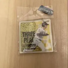 ホークス　庄子雄大選手　リーグ優勝記念　ラメオイルインアクリルキーチェーン