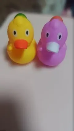 ラバーダック 4個セット 楽天市場】アヒル お風呂 おもちゃ ラバーダッキー 海賊 ダッキー