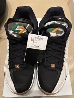 ＪＯＲＤＡＮ ジョーダン　ルカ　4　ＧＯＮＥ　ＰＦ